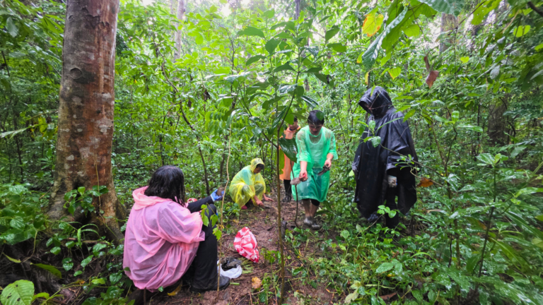 OSL Tree Planting_260814